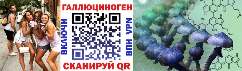 Галлюциногенные грибы мицелий Владикавказ